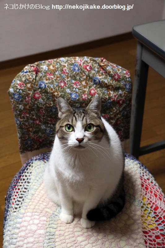 2016122701ちょっと席を外すと。