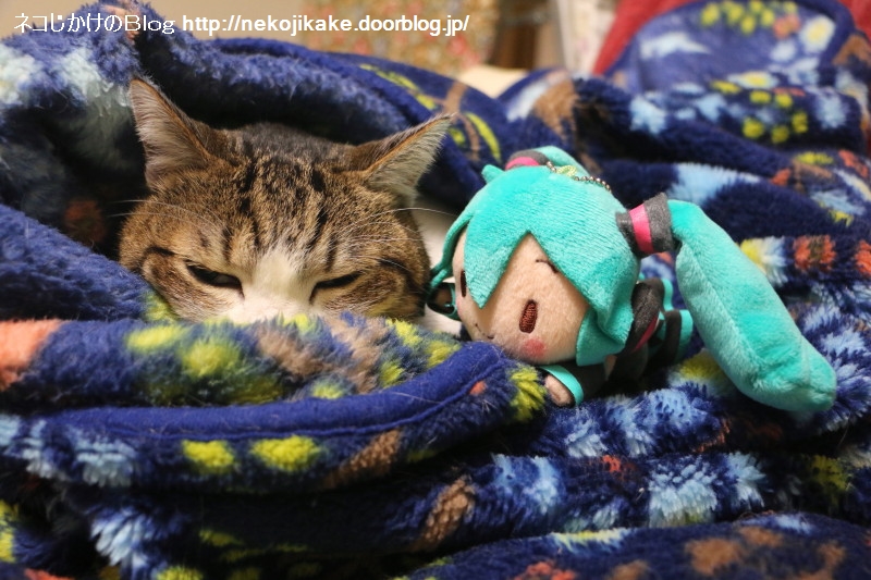 2019020502一緒に温まろ。