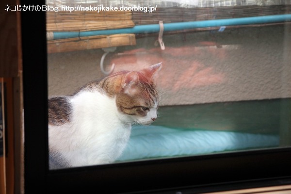 2014012802これは本物。