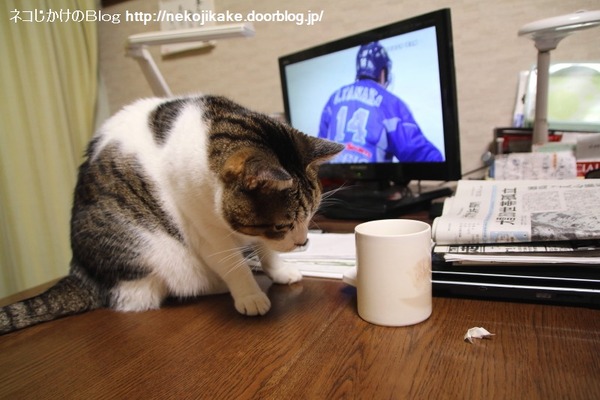 2014120701こっちも遊ぶぞ。