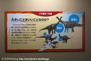 2017073021メガ恐竜展201@ 大阪南港ATCホール。19