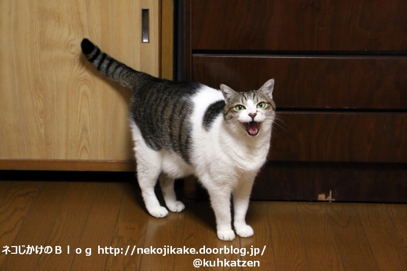 2020051701挨拶は元気よく!