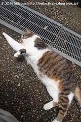 もう少しあと少し。
