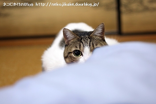 狙う。
