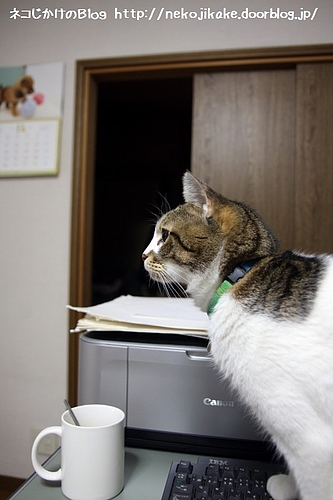 ボクの朝は一杯のコーヒーから。
