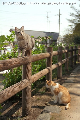 なんとなく集合写真。