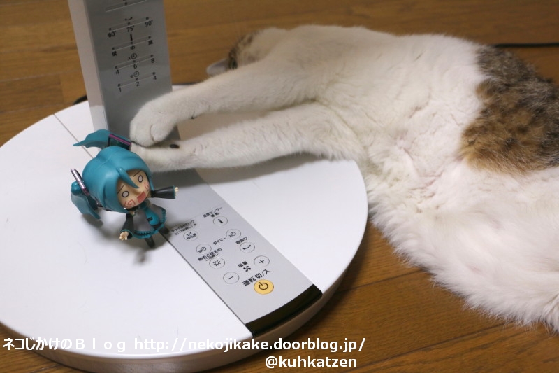 2020062707ミクちゃん、うしろうしろ!2