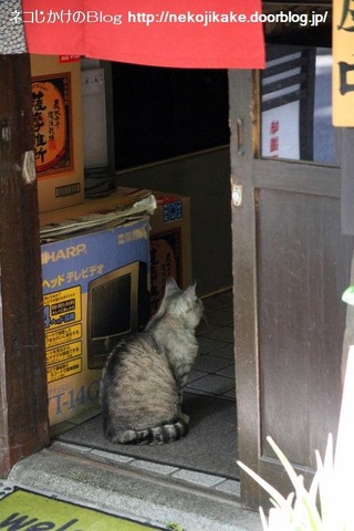 2013052502まいど!