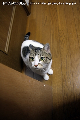 見上げた先には?