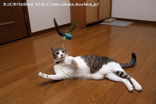 さあ来い!