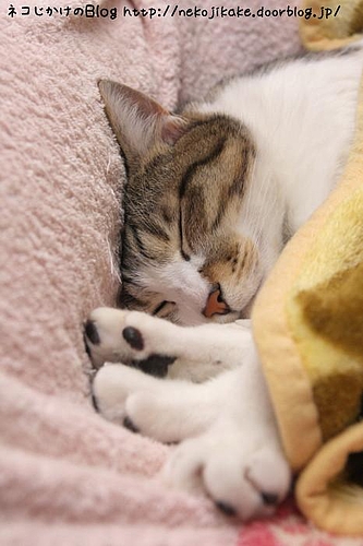 疲れました。