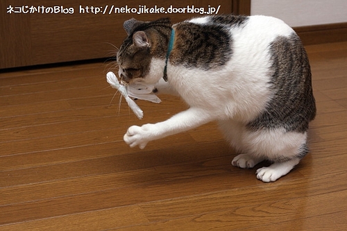 安上がり。