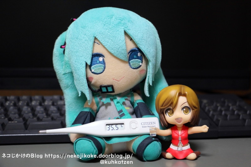 今日も元気だ平熱だ ネコじかけのｂｌｏｇ