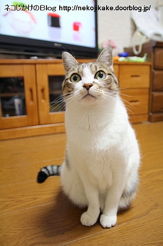 ちょっと不安げ?