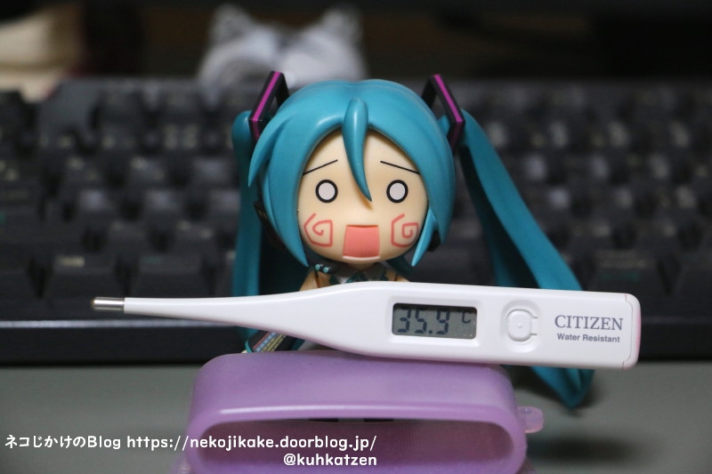 2021022003もう一歩。