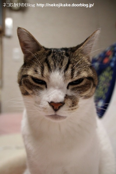 2014051102さっきまで寝てました。