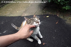 うりうり、気持ちええか?
