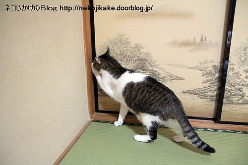 逃げ道も作っとけ。