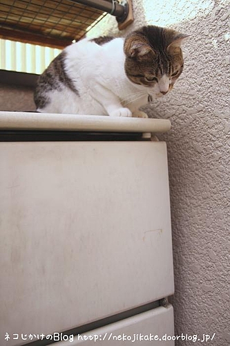 気になる・・・