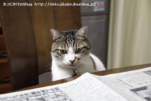 乗るものじゃない、読むものだ。