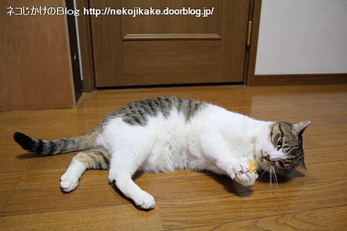 これは上物のフェルトボールだ・・・。