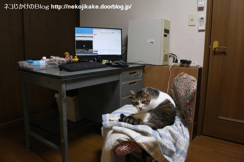 2017020102隙を見せた方が負け。