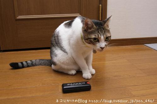 4分33秒 第1楽章 シマ