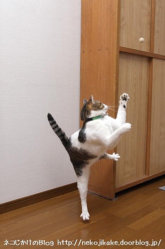 逃したか・・・。
