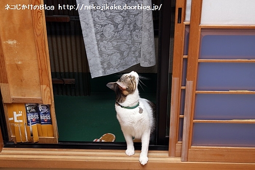 何かいやな予感。