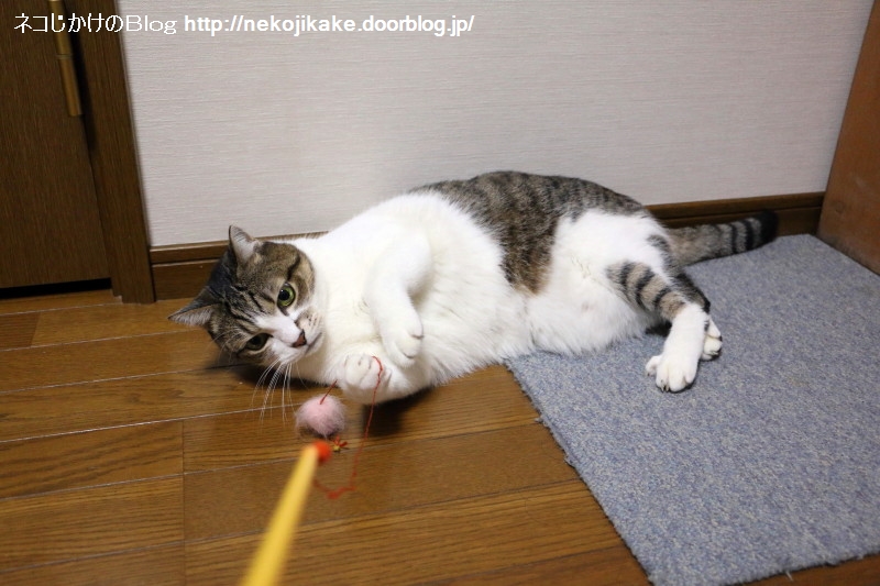 2016122601いつまでもこんなことをしていていいのだろうか。