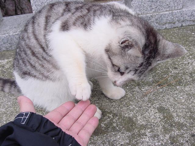めっちゃLOVELY!!