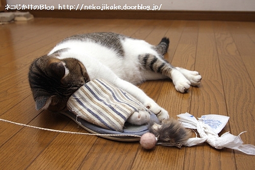 顔も突っ込む勢い。