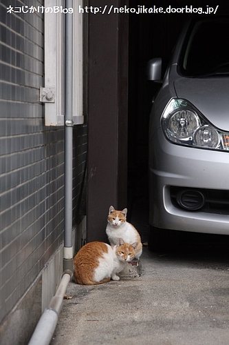 車番。