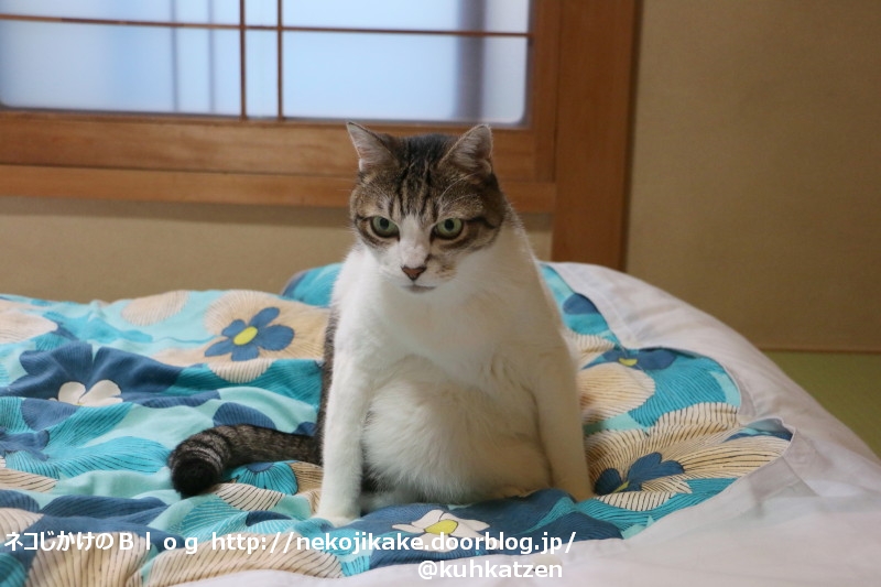 2020070301ひねって座る。