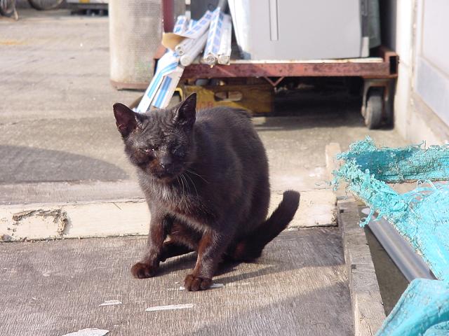 しわ。