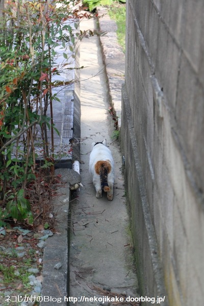 2015032204この思い、伝えたい。2