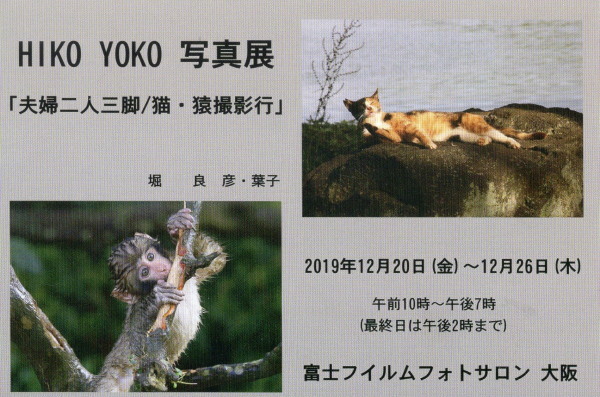 2019122102HIKO YOKO ¼Ì¿¿Å¸¡÷ÉٻΥե¤¥ë¥à¥Õ¥©¥È¥µ¥í¥óÂçºå¡££±