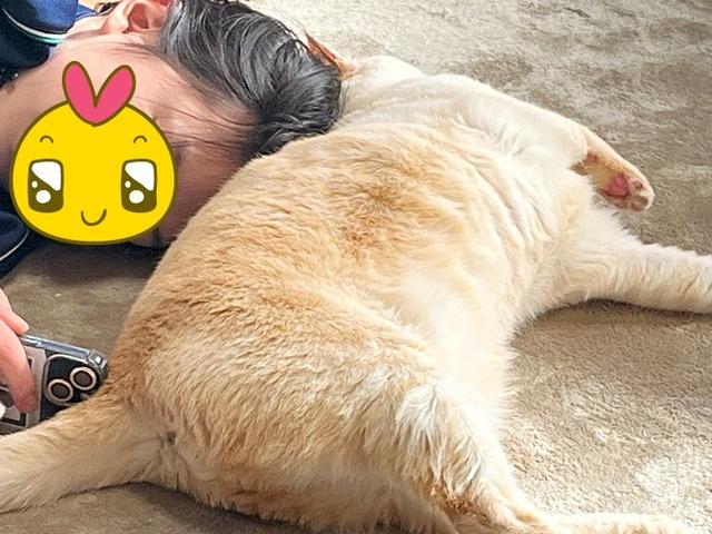 nanaちゃんと