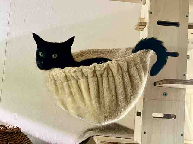 FullSizeRender