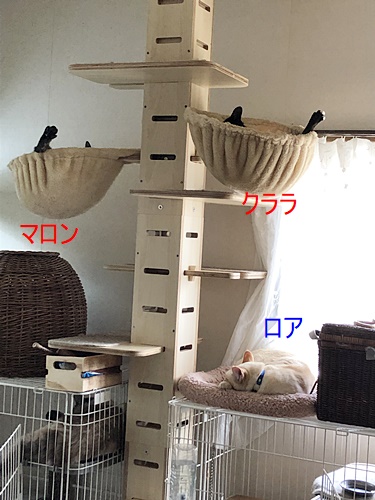 リビングで