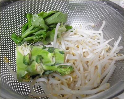pageモヤシ等
