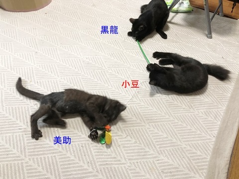 3人