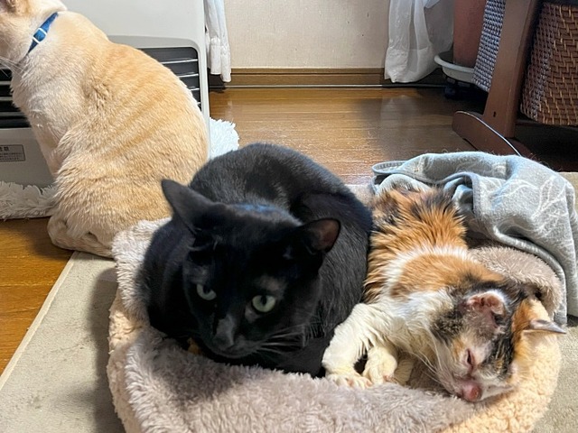 クロム