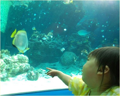 page水族館