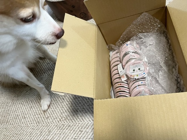 クゥ