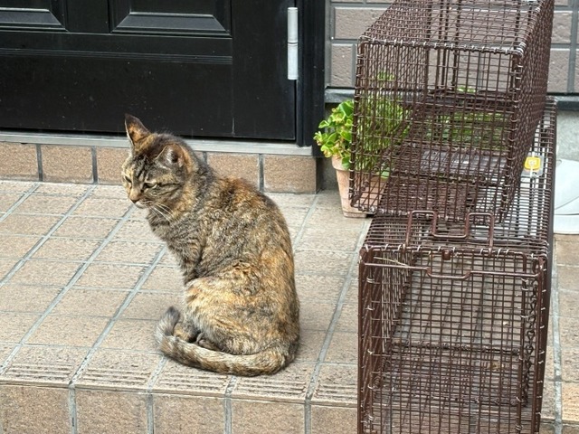 捕獲機