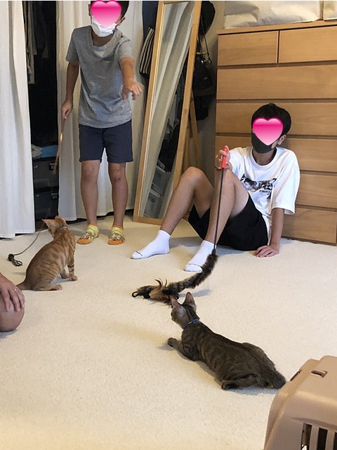 お兄ちゃんたちと