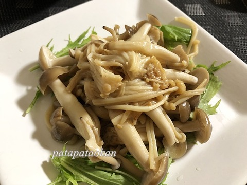 キノコ