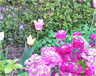 pageお花