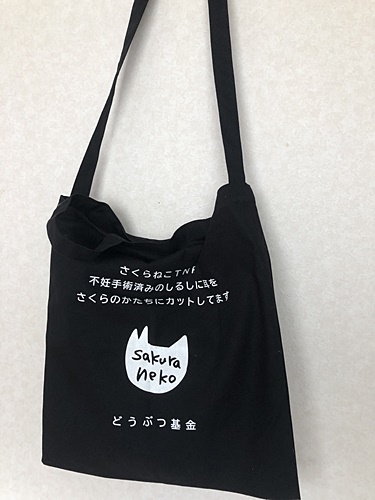 バック２